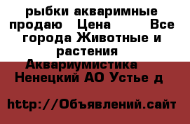 рыбки акваримные продаю › Цена ­ 30 - Все города Животные и растения » Аквариумистика   . Ненецкий АО,Устье д.